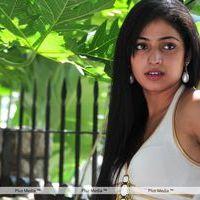 Haripriya New Photo Shoot - Pictures | Picture 115681